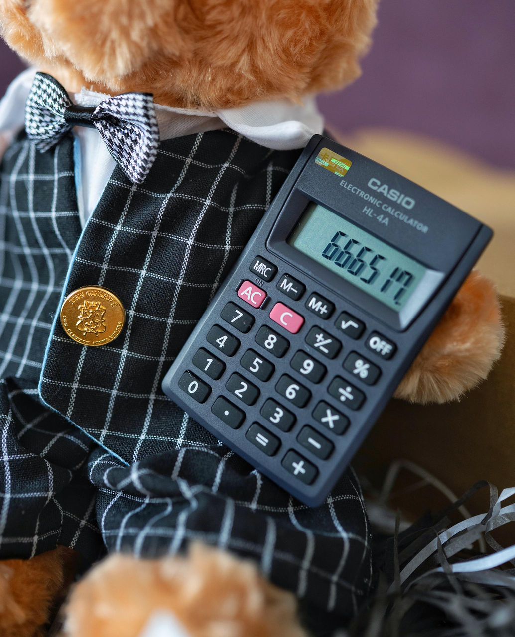 Accountant Bear view 2