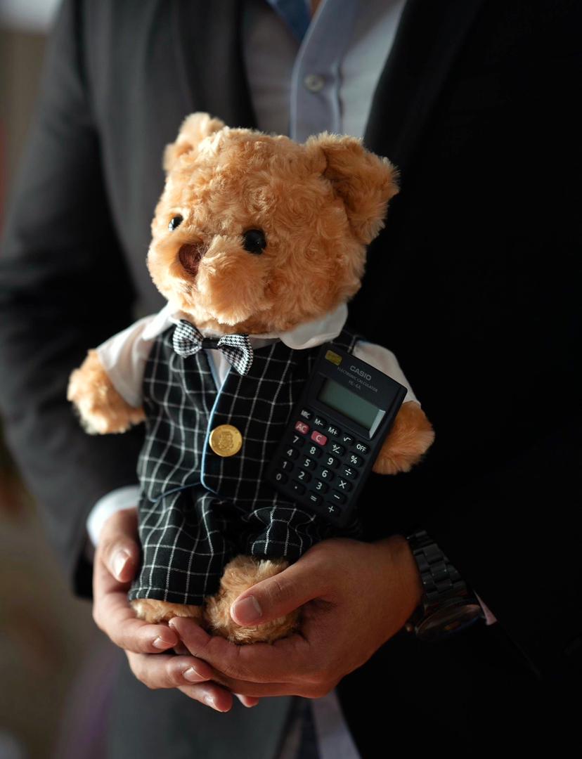 Accountant Bear view 4