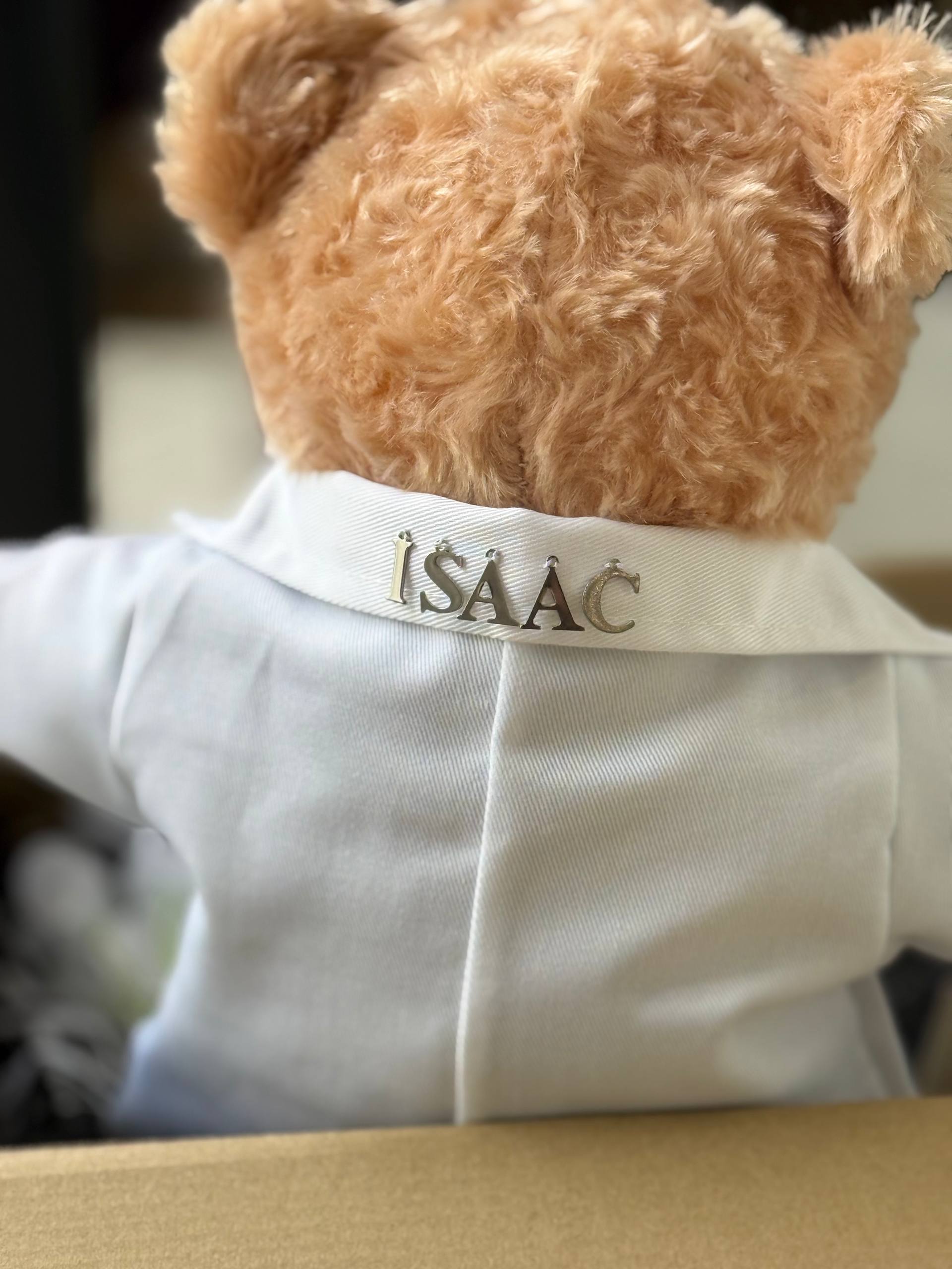 Dentist Bear — A handcrafted teddy bear dressed in a dentist's scrubs and mask, the perfect meaningful gift for a dental graduate or dental professional in Malaysia.