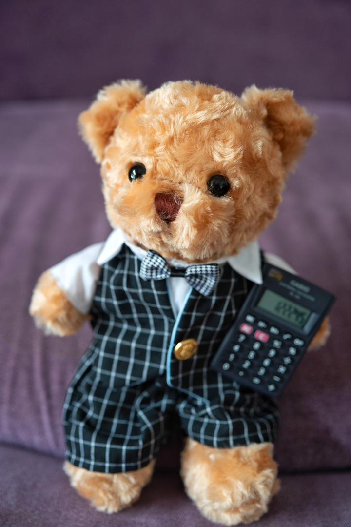 Accountant Bear - handcrafted professional gift bear