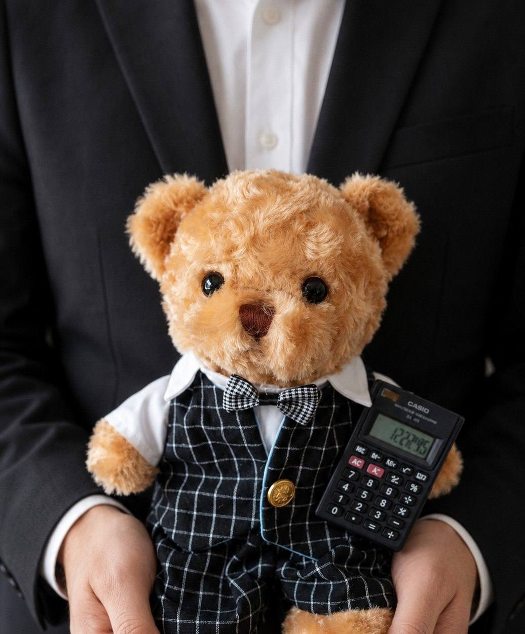 Accountant Bear - handcrafted professional gift bear